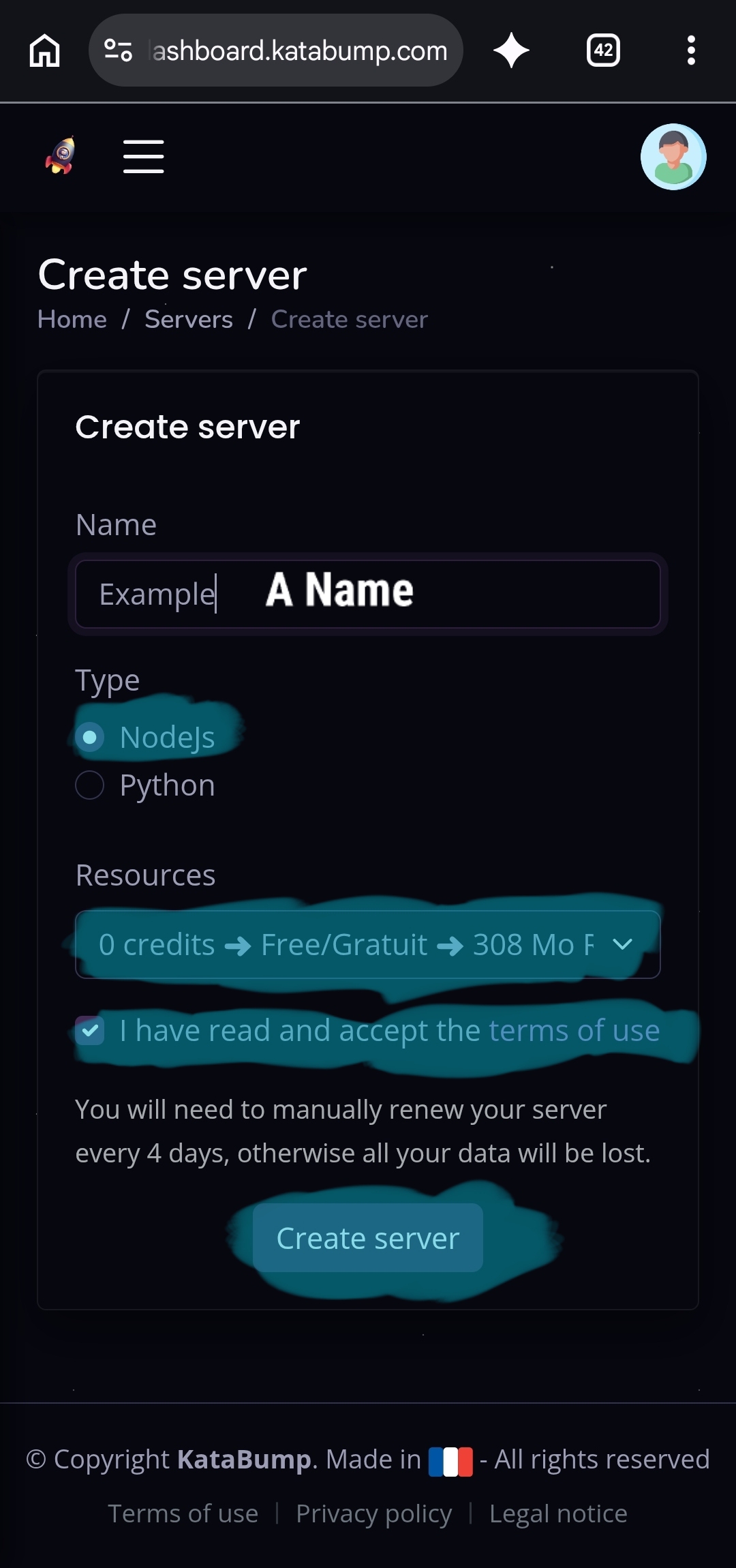 Server creation and panel login step - Image 2